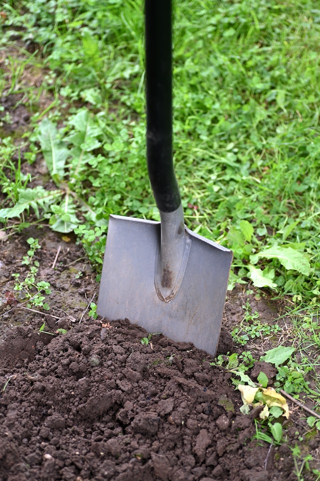 Gardening Exercises for Fitness and Well-being