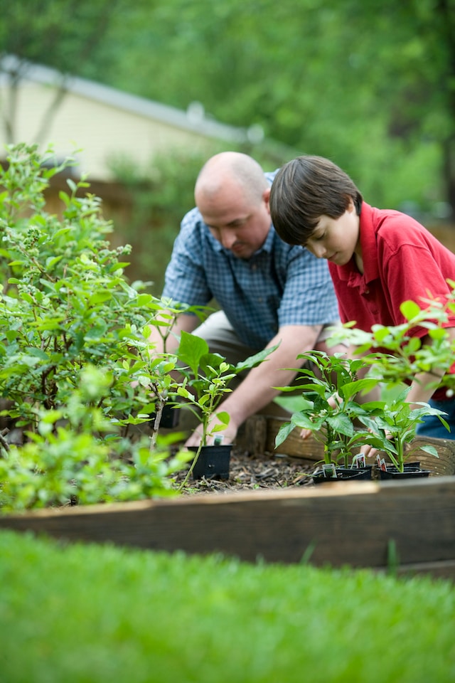 From Green Thumbs to Healthy Bodies: Unearthing the Physical Health Benefits of Gardening