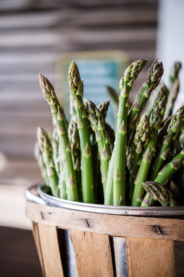 growing asparagus in raised beds - harvest