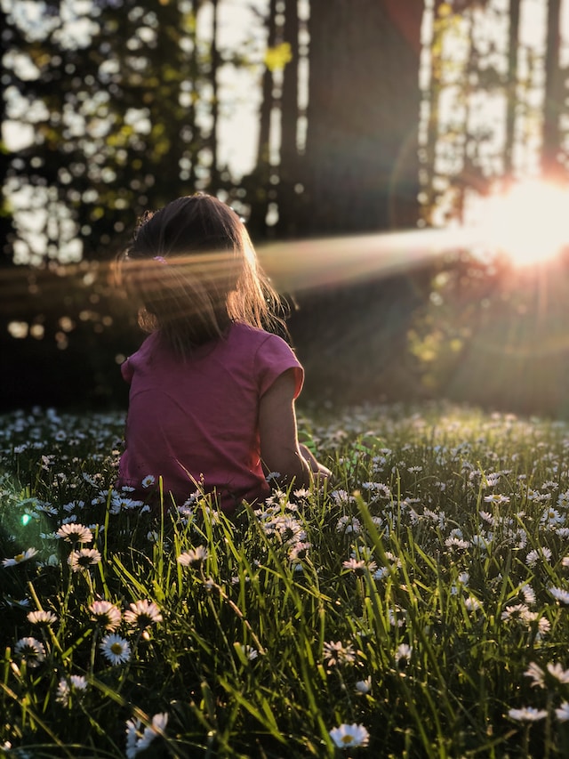 spiritual plants for a peaceful patch