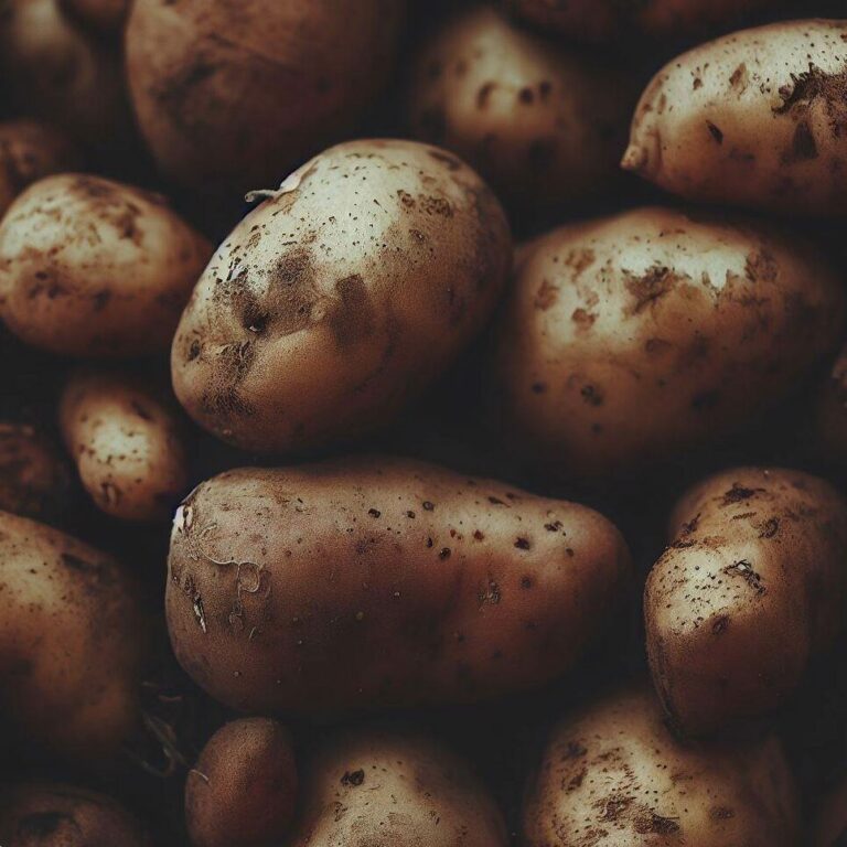 A-pile-of-harvested-potatoes