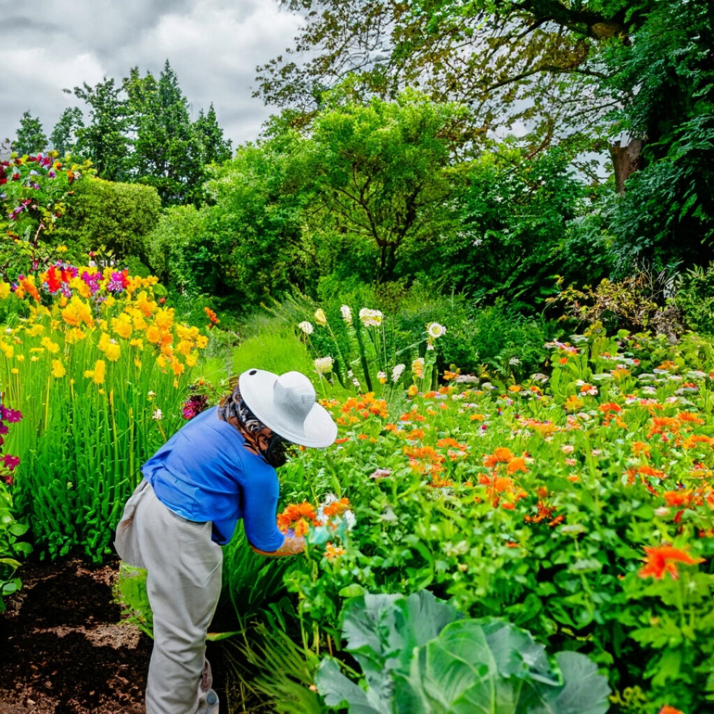 a healthy garden free of slugs and snails
