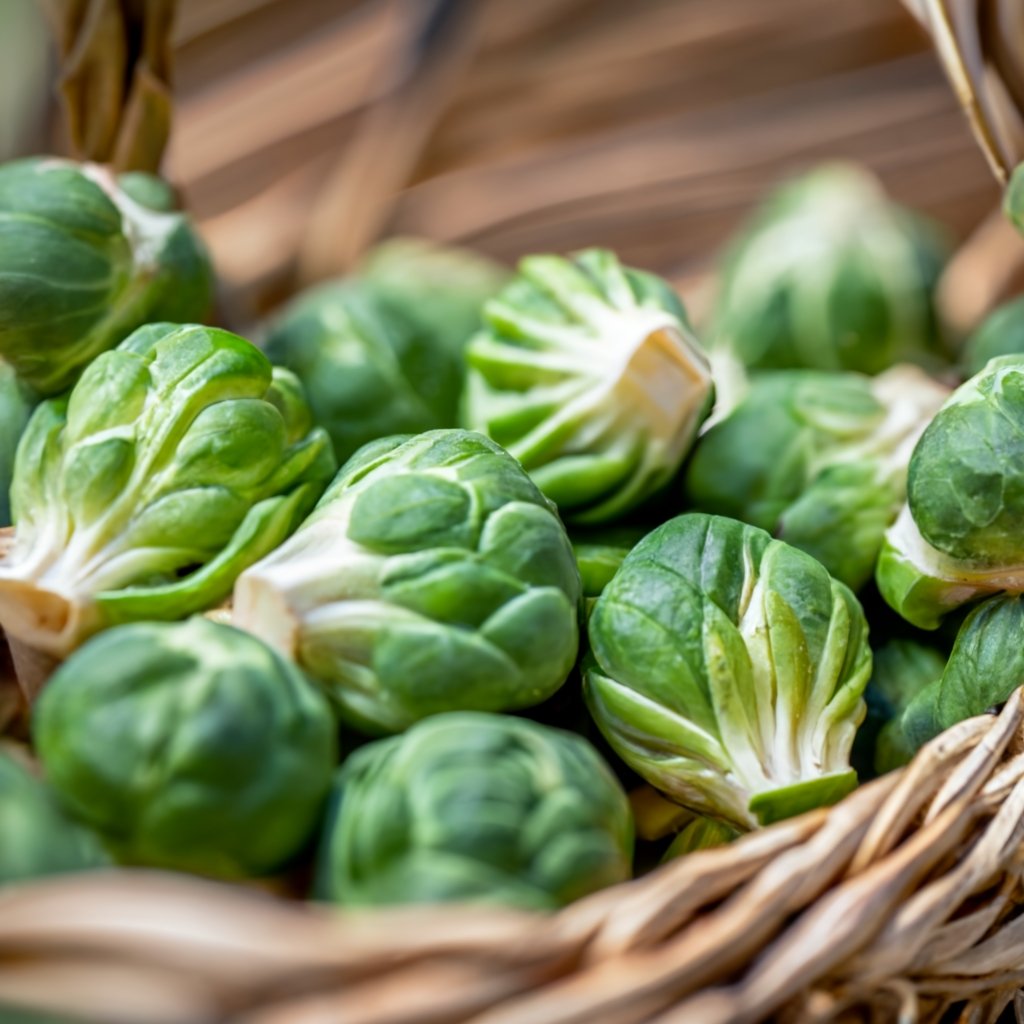 Freshly harvested brussel sprouts in a basket