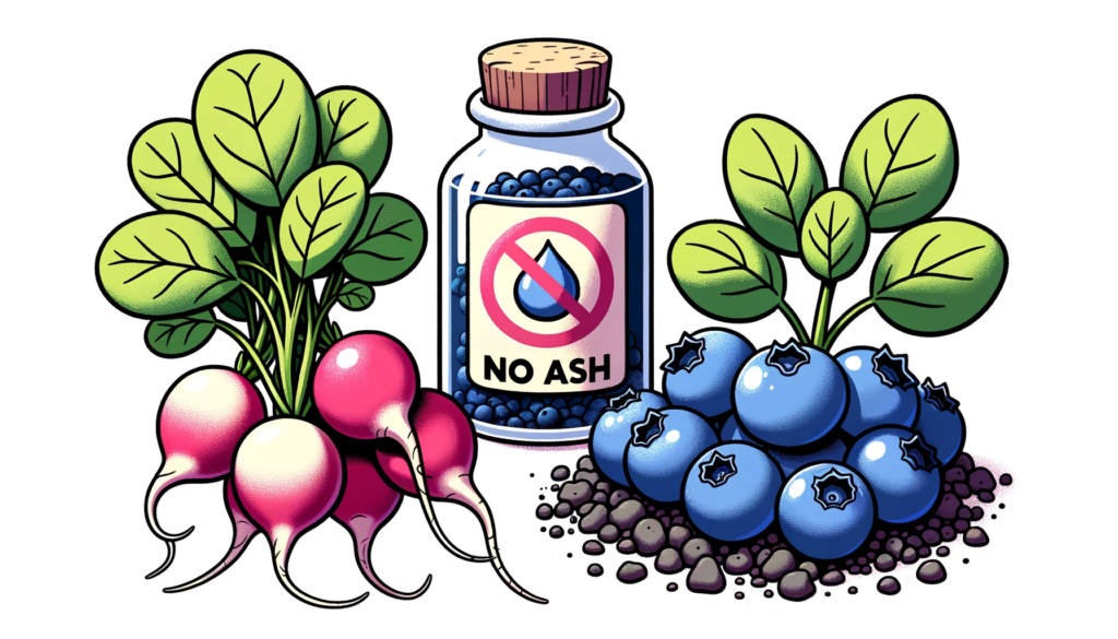 Illustration of blueberries and radishes with a 'no ash' sign