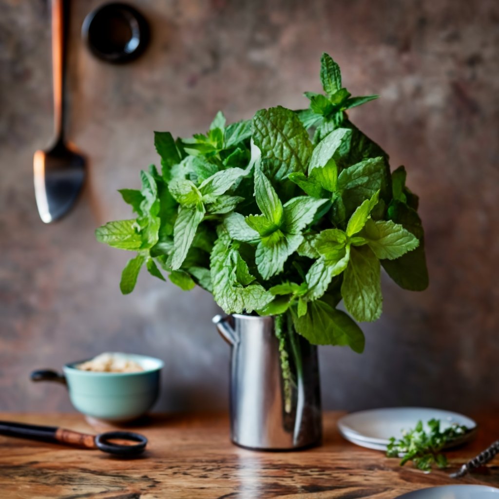 Mint bouquet on a rustic kitchen countertop