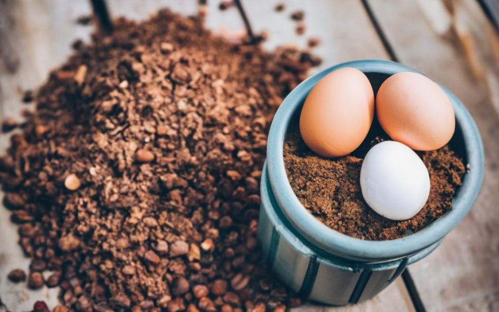 coffee grounds and crushed egg shells