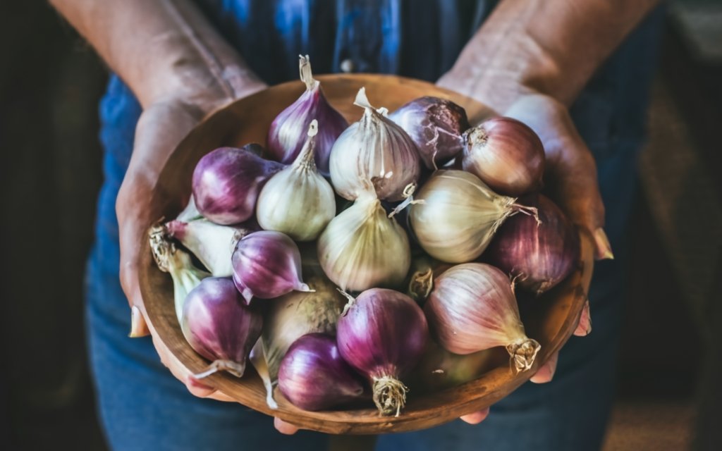 hand holding onions in a bowl